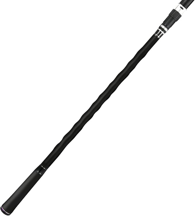 BERRYPRO Surf Spinning Rod Surf Casting Fishing Rod Carbon Fiber Travel Fishing Rod (9'/10'/10'6''/11'/12'/13'3'')