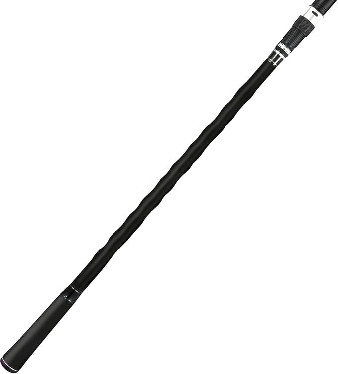 BERRYPRO Surf Spinning Rod Surf Casting Fishing Rod Carbon Fiber Travel Fishing Rod (9'/10'/10'6''/11'/12'/13'3'')