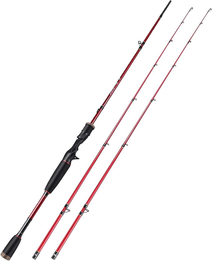 Sougayilang Fishing Rod, 2Pc Casting Rod Spinning Rod for Freshwater Tournament Quality Fishing Pole with 2 Tips for Bass