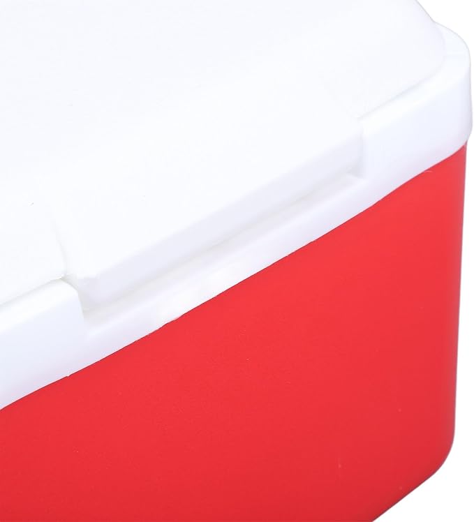 Large 5L Insulated Cooler Box Portable Ice Box for Travel Camping Picnic Fish, Insulated Cooler Box Hard Case Keeps Food Freshness and Drink Cool