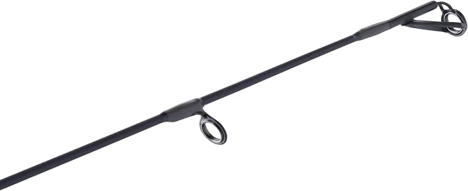 Pflueger President XT Casting Rod