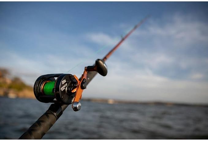 Abu Garcia C3 Species Special Baitcast Round Fishing Reel