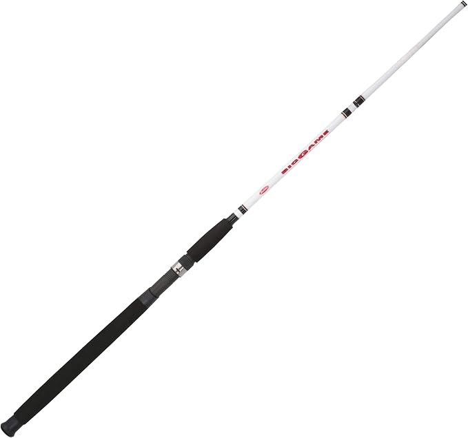 Berkley Big Game Casting Fishing Rod