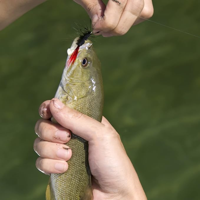 Fly Fishing Poppers, Topwater Fishing Lures Bass Crappie Bluegill Sunfish Panfish Trout Salmon Perch Steelhead Flies for Fly Fishing Bass Panfish Bluegill Trout Salmon