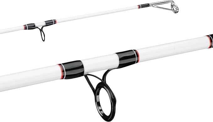Berkley Big Game Spinning Fishing Rod