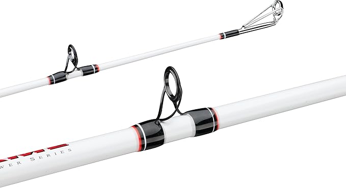 Berkley Big Game Casting Fishing Rod