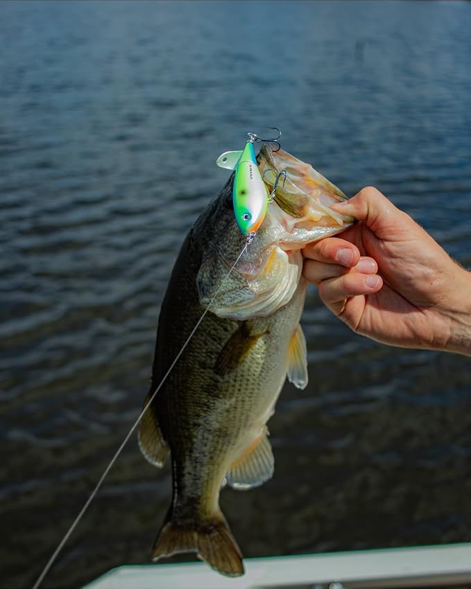 Heddon Spin'N Image