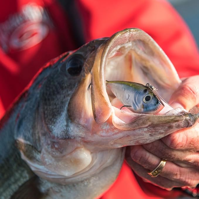 Strike King Red Eyed Shad Fishing Lure