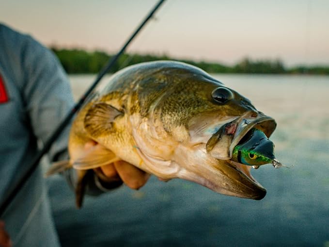 Northland Fishing Tackle Reed Runner Weedless Hollow Body Topwater Popping Frog for Bass Fishing, Assorted Colors, 1.75" Length