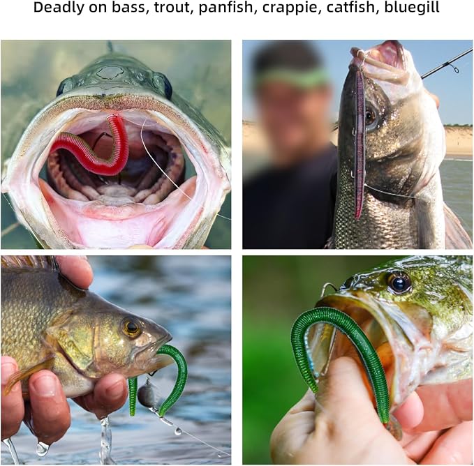5.5" and 4" Wacky Worms Soft Fishing Lures Worm Soft Plastic Bass Baits Mixed Kit Plastic Worm Stick Baits for Freshwater Saltwater