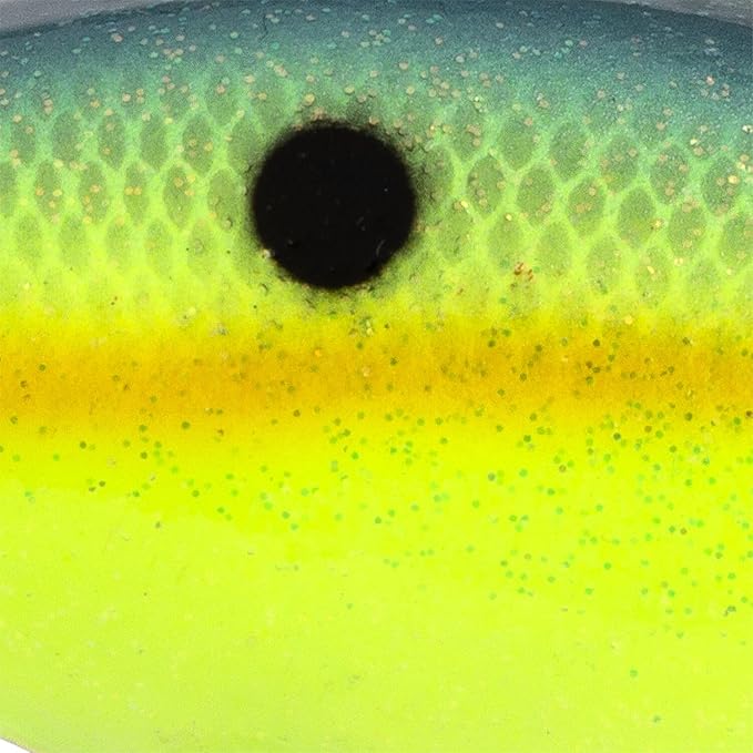 Strike King Strike King Promodel Crankbait S6XD Fishing Lure, 1 oz, Unique Curved Bill and Balance