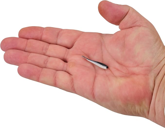 Berkley Gulp! Alive! Minnow Fishing Soft Bait