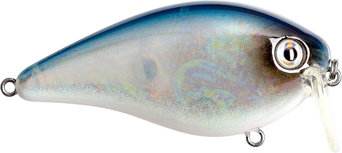 Strike King KVD 2.5 Wake Bait Fishing Lure, 3/8 oz, Unique Clacking Sound