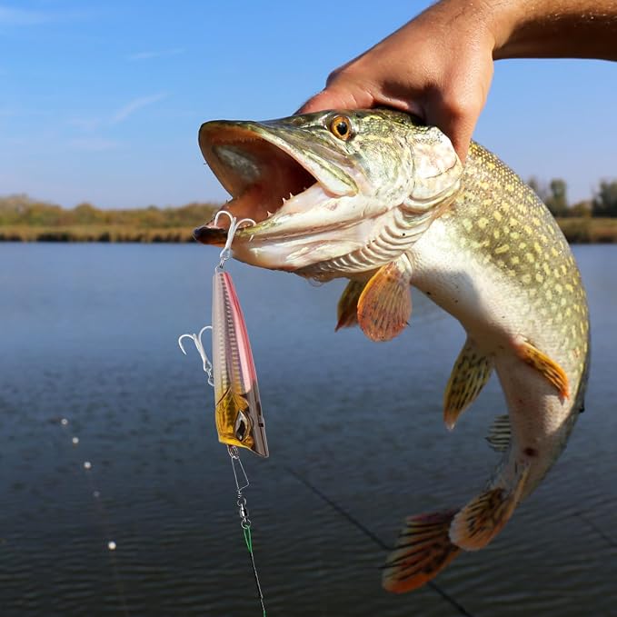 Alwonder Fishing Snap Swivels, High Strength Ball Bearing Swivel with Stainless Steel Coastlock Snap 26-503LB, Black Nickel Coating Corrosion Resistance Freshwater Saltwater