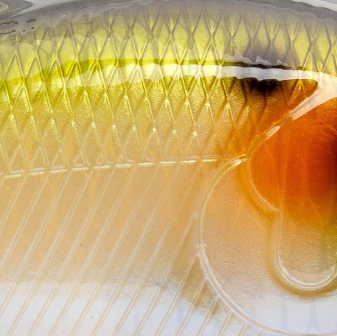 Strike King Hybrid Hunter Jr. Crankbait