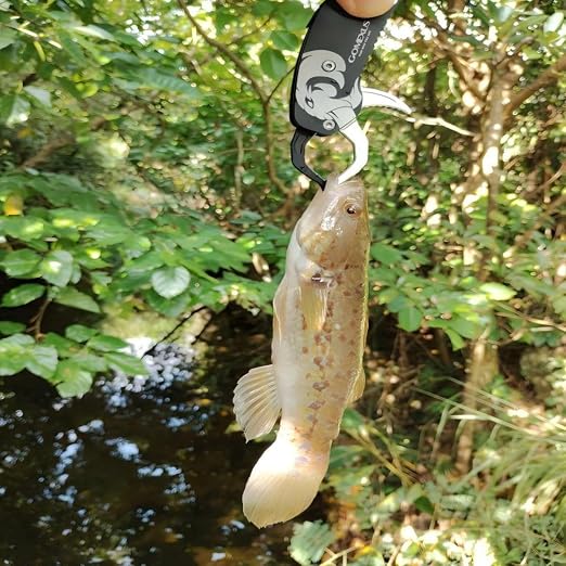 GOMEXUS Fish Lip Gripper, Portable Lightweight Fish Gripper, Aluminium Fish Grabber Tool, Lip Grippers Fishing, Mini Fishing Gripper with Lanyard