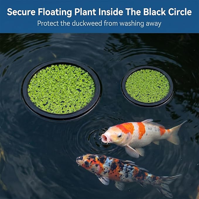5 Sizes EVA Fish Feeding Ring and 1 Pcs Suction Cup Fish Feeder Ring, 6 Pcs Black Round Floating Rings for Aquarium Set, Floating Rings for Aquarium Betta Goldfish Guppy