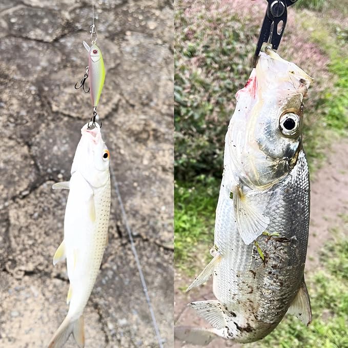 Fishing Lures Large Hard Bait Minnow VIB Lure with Treble Hook Life-Like Swimbait Fishing Bait Popper Crankbait Vibe Sinking Lure for Bass Trout Walleye Redfish