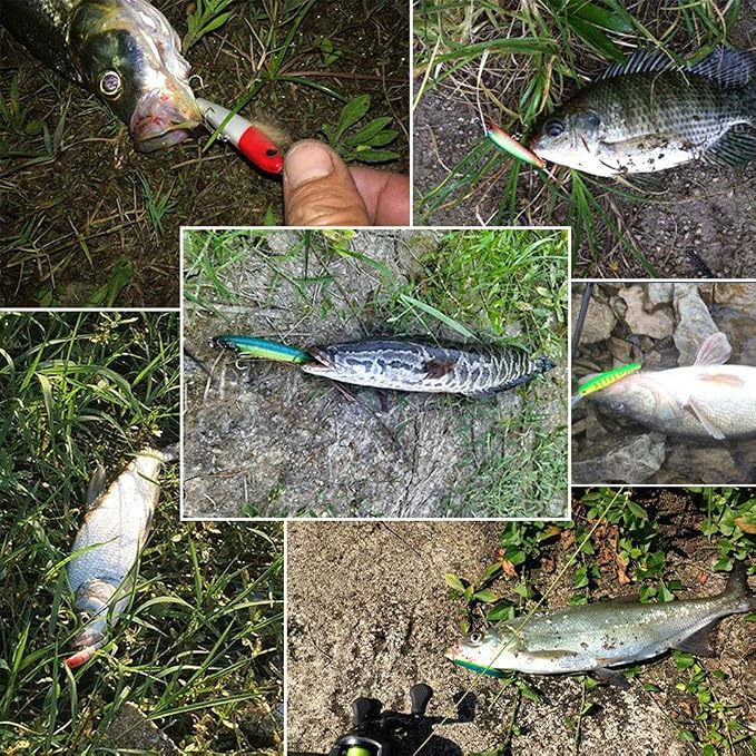 Fishing Lures Hard Bait Minnow Swimbait Crankbait Jerkbait Lure with Treble Hooks 3D Eyes Freshwater Saltwater Fishing Lures for Bass Trout Walleye Pike Catfish