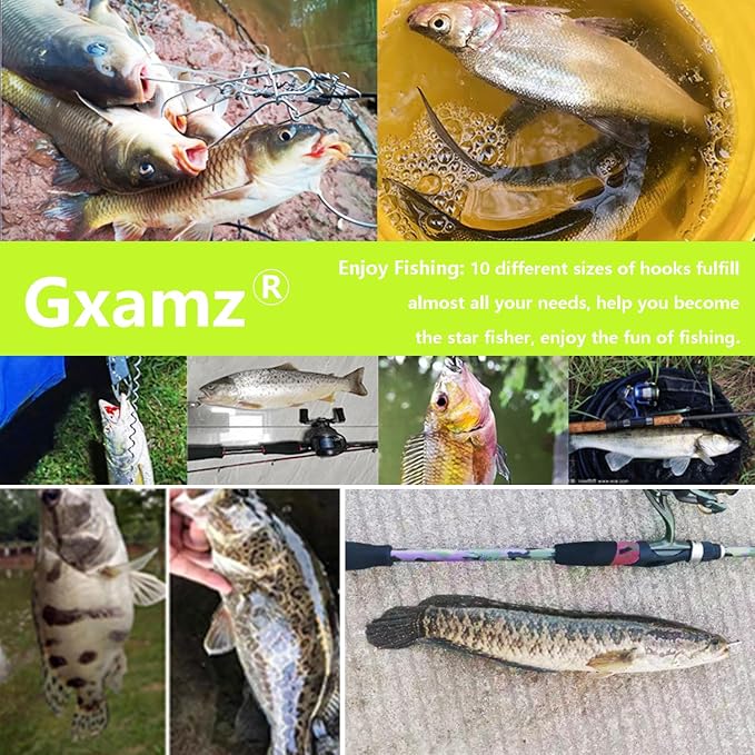 1000pcs 600pcs 300pcs Small Fish Hooks for Freshwater, 10 Specifications of Trout Fishing Hook Set
