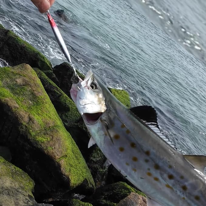Saltwater Fishing Lures Fishing Jigs Fishing Spoons for Striped bass, Pompano, Spanish Mackerel ,Bluefish