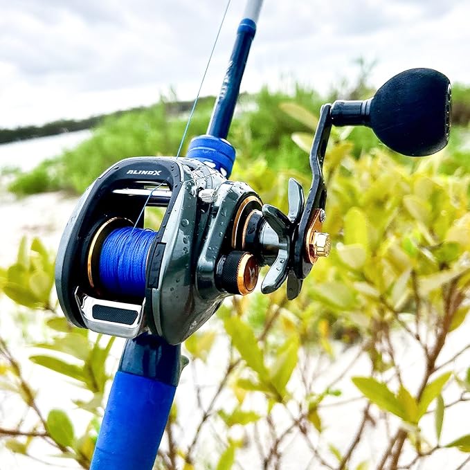 Piscifun Alinox 300 Baitcaster Fishing Reel,Aluminum Frame Baitcasting Reel, 33Lbs Max Drag, Freshwater & Saltwater Low Profile Casting Reel for Musky, Available in 6.6:1/8.1:1 Gear Ratio