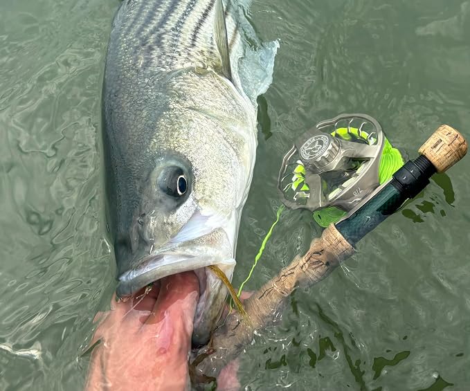 Kingfisher Fly Fishing Big Blackfoot Reel | Durable Lightweight High-Performance Large Arbor Reel for Fly Fishing