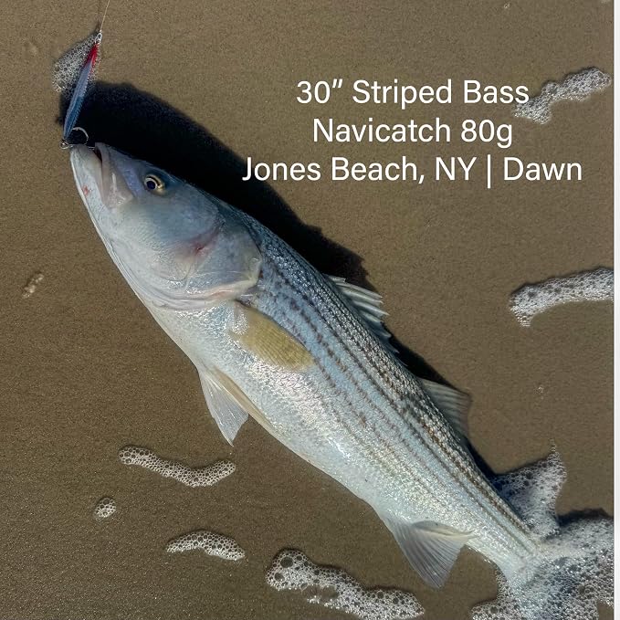 Saltwater Fishing Lures Fishing Jigs Fishing Spoons for Striped bass, Pompano, Spanish Mackerel ,Bluefish