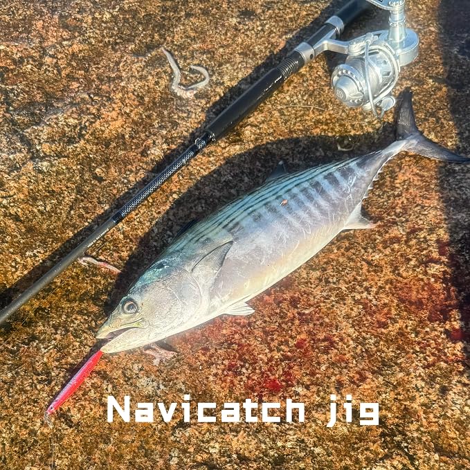 Saltwater Fishing Lures Fishing Jigs Fishing Spoons for Striped bass, Pompano, Spanish Mackerel ,Bluefish