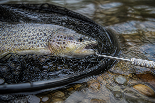 Supported fish in a wet landing net with an accessible hook near its mouth and a hook remover positioned beside it