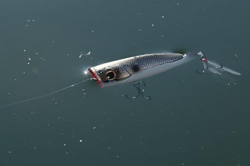 Berkley Bullet Pop Fishing Hard Bait