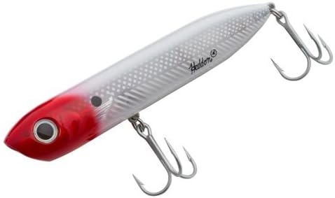 Heddon Chug'N Spook Popper Topwater Fishing Lure for Saltwater and Freshwater