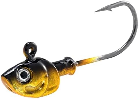 Dr.Fish 10 Pack Swimbait Jig Heads, Saltwater Fishing Jig Heads 3D Eyes High Carbon Steel Hooks Surf Fishing Lures Flounder Striper Halibut Pompano Bass