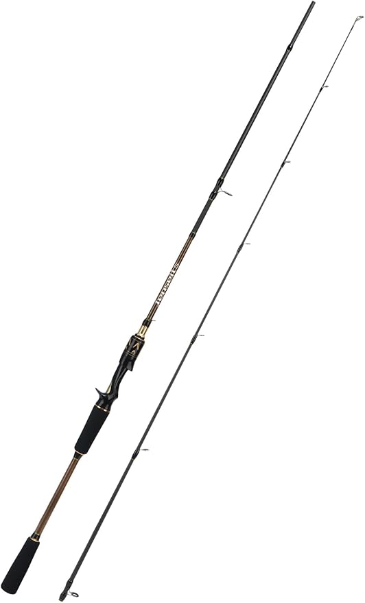 Jenseits Carbon Fiber Fishing Rod Series (6-12 Ft), Spinning & Casting Rods with Stainless Steel Ceramic Guides, Fast Action Fishing Pole for Bass, Trout, Walleye & Surf Fishing