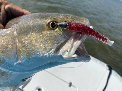 A.M. Fishing Curly Tail Jerkshad 4 Inch Soft Baits Garlic Infused,– 8 Pack – Saltwater & Freshwater Fishing Lures for Bass, Redfish, Snook, and Trout
