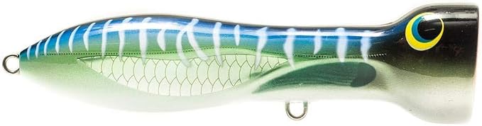 Nomad Design Chug Norris Topwater Popper Lure Collection – Floating Offshore Saltwater Surface Fishing Plug - Durable HD Body for Big Game - Realistic Splash & Erratic Action