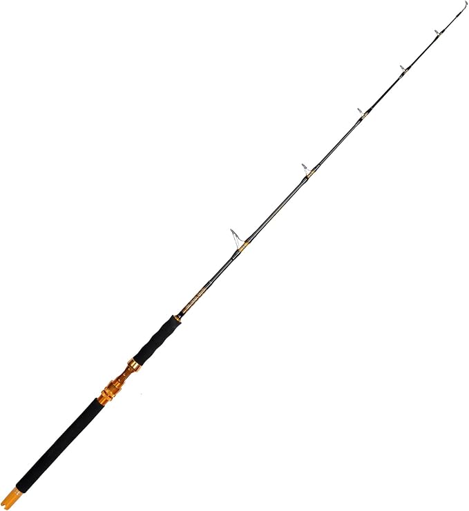 Fiblink Saltwater Jigging Spinning Rod 1-Piece Heavy Jig Fishing Rod (30-50 lb/50-80 lb/80-120 lb, 5 Feet 6 Inch)