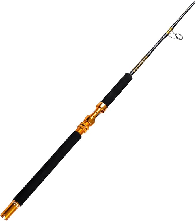 Fiblink Saltwater Jigging Spinning Rod 1-Piece Heavy Jig Fishing Rod (30-50 lb/50-80 lb/80-120 lb, 5 Feet 6 Inch)