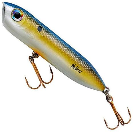 Heddon Chug'N Spook Popper Topwater Fishing Lure for Saltwater and Freshwater