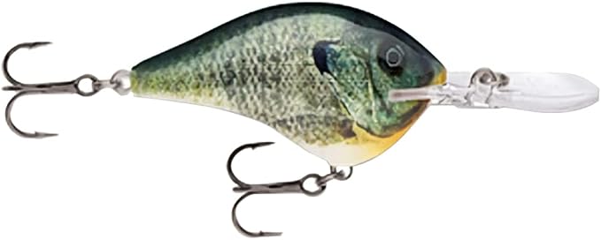 Rapala Rapala Dives to 06 Live Lure Multi One Size ' Dt