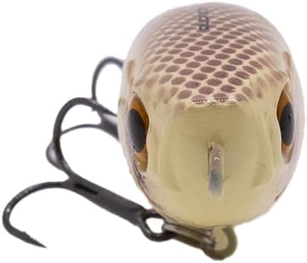 Duckett Fishing Super Sound 110 Topwater, High-Impact Walking Lure for Attracting Aggressive Bass Strikes