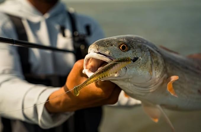 6th Sense – Party Paddle 4.3" – Saltwater Swimbait – Inshore Fishing – Redfish/Trout/Snook – Paddle Tail Soft Plastic