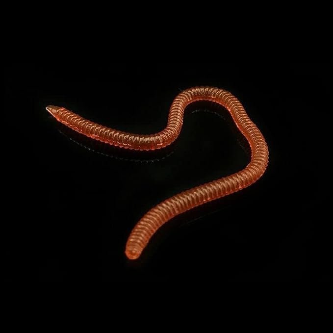 20pcs Bass Fishing Worms - Soft Plastic Baits & Lures for Fresh Water Fishing