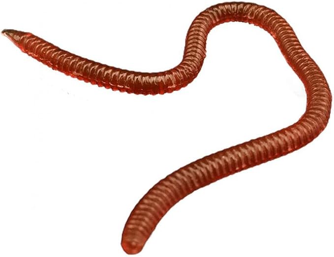 20pcs Worms for Bass Fishing, Soft Plastic Fishing Lures Plastic Worms, Fishing Worms for Bass Fishing Freshwater Saltwater