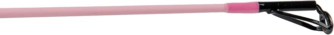 Profishiency Blush Spinning Fishing Combo, 6'6" 2-Piece Medium Fiberglass Rod, 3000 Size Spinning Reel, 5.2:1 Gear Ratio, 4+1 Bearings, Pre-Spooled with 10 lb Line