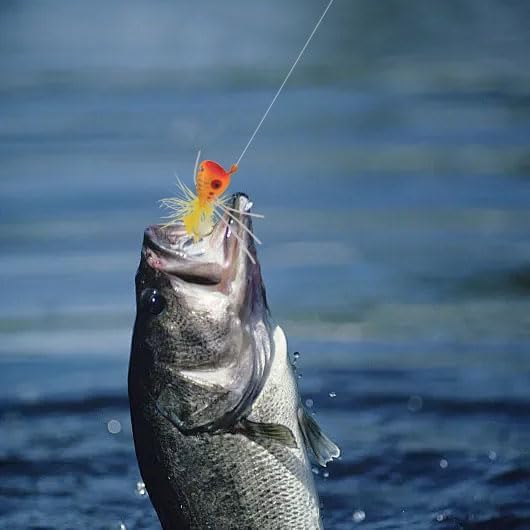 Fly Fishing Poppers, Topwater Fishing Lures Bass Crappie Bluegill Sunfish Panfish Trout Salmon Perch Steelhead Flies for Fly Fishing Bass Panfish Bluegill Trout Salmon