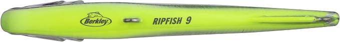 Berkley Ripfish