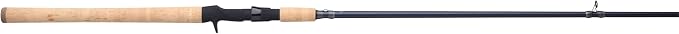 Pflueger President XT Casting Rod