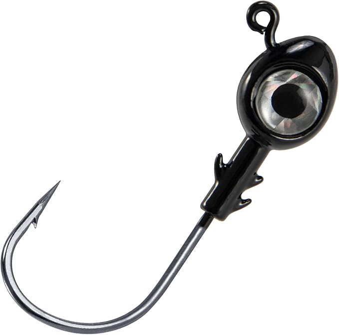 Dr.Fish 10 Pack Fishing Eyes Jigs 3D Eyes Trout Heads Bass Hook Saltwater Swimbait Jig Heads Freshwater Walleye Redfish Striper
