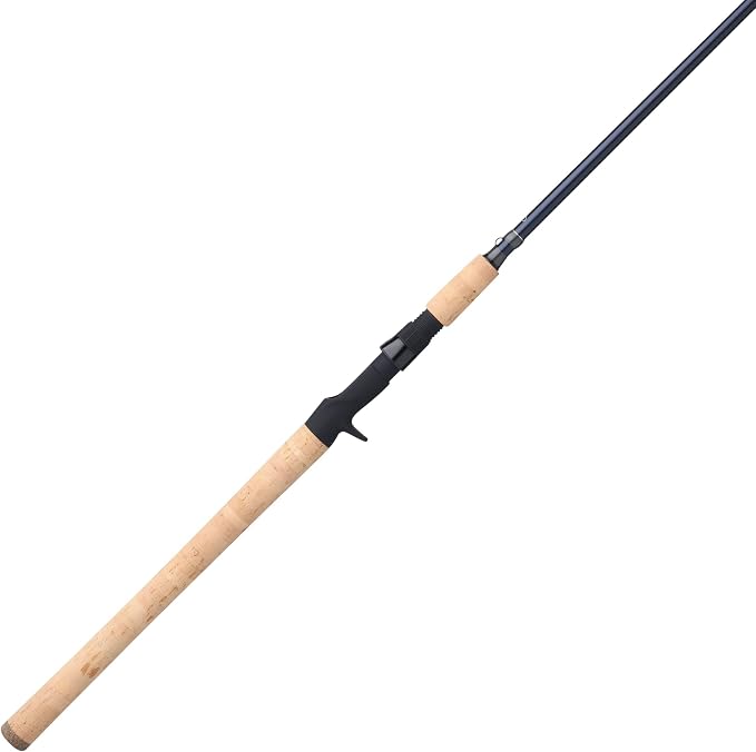 Pflueger President XT Casting Rod